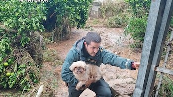 Adam se ceba en C. Valenciana con 3 muertos y deja cortes de luz y carreteras cortadas en Baleares
