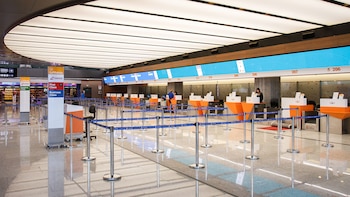 Viajar más fácil: flexibilizaron una