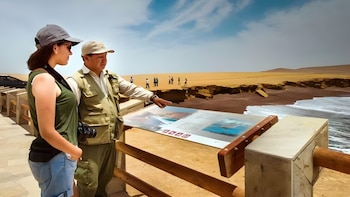 Estas 5 áreas requieren, cada