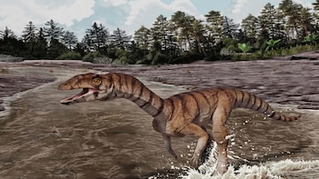 Bípedo y desdentado: asi era el antiguo pariente del cocodrilo que vivió en la Tierra hace 200 millones de años