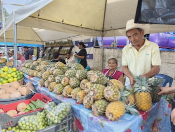 Hombre y mujer asiáticos sonriendo en primer plano, la mujer sostiene un letrero con forma de piña que dice "Feria de la Piña 2026 Santa María Ostuma"