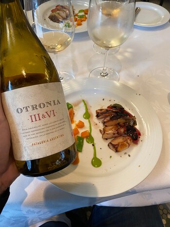 Los 50 mejores vinos de 2021- Otronia III y IV Chardonnay - Otronia