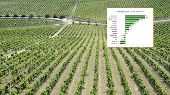 El campo español vuelve a