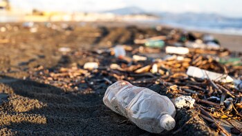 Construir plásticos más biodegradables puede