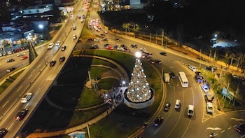 Recorrido por los árboles de