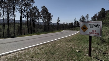 Una imagen de la ruta