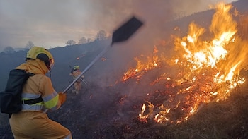 Un experto en incendios forestales