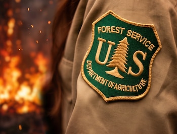 Primer plano de un parche verde y dorado del Servicio Forestal de EE.UU. en un uniforme caqui, con un incendio forestal y chispas de fondo