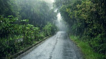 En esta época es común experimentar fatiga y debilidad debido a los cambios climáticos y la menor exposición al sol