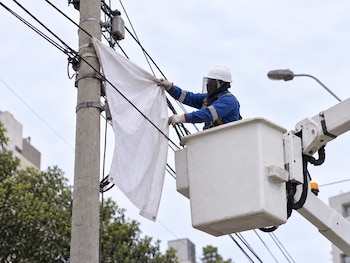 Un técnico con casco y careta de protección desde una grúa retira una tela blanca atada a un poste con cables eléctricos