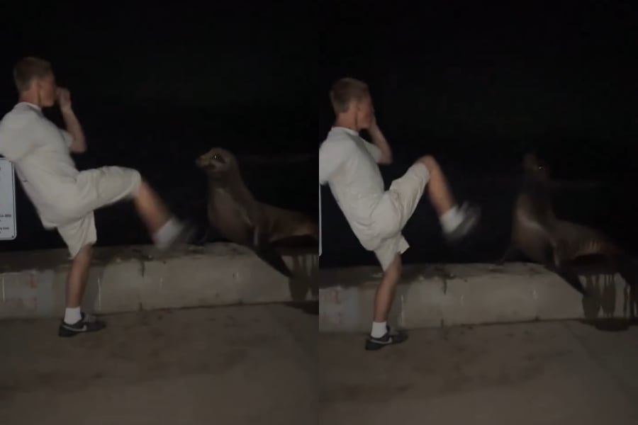 El video del caso se viralizó en Snapchat e Instagram y llevó a la NOAA a iniciar una investigación federal (Captura de video: @SDCANews).