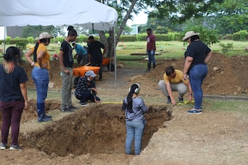 Las labores de verano incluyeron