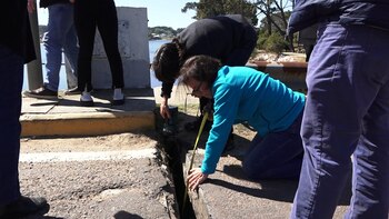 Ingenieros del Ministerio de Transporte