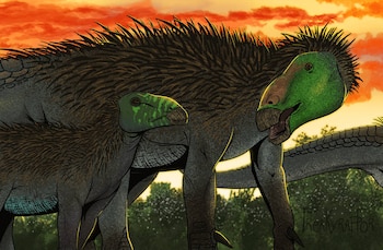 La piel fosilizada de un