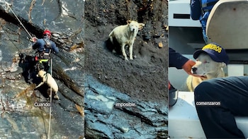 Así fue el emocionante rescate de una perrita perdida en las cascadas de Macanal, Boyacá