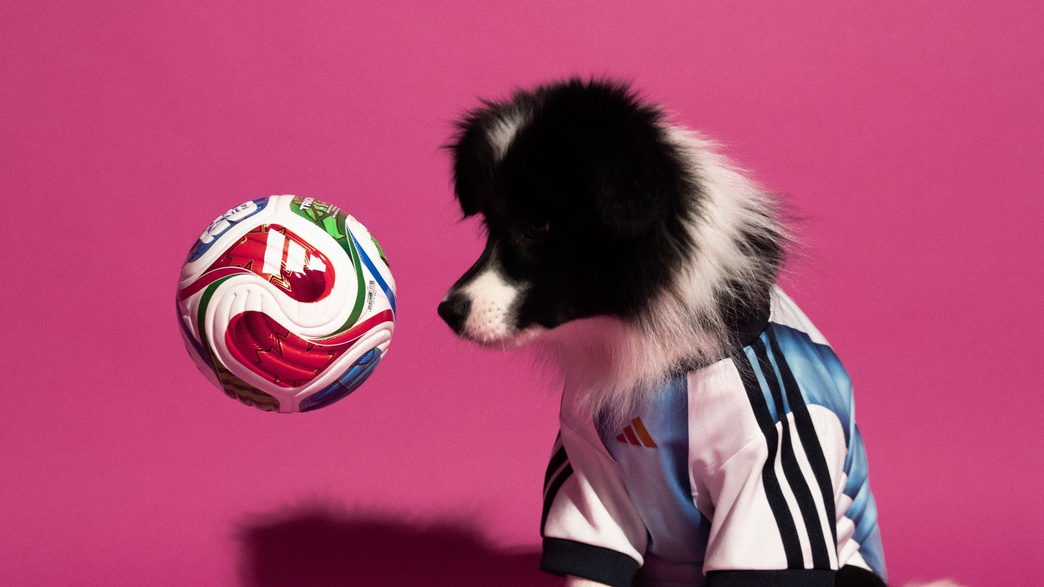 (X / @adidasfootball)