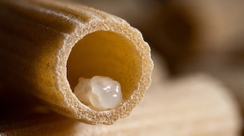 Enfoque macro de una pasta rigatoni cortada con un pequeño huevo translúcido dentro de su cavidad.
