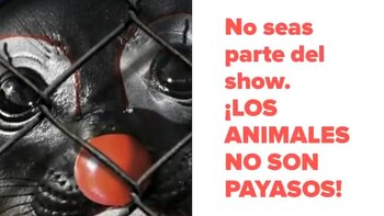 Para activistas y legisladores fue