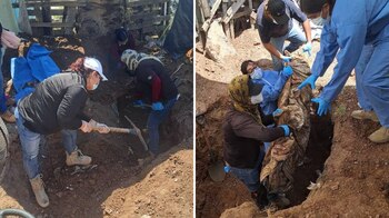 (Twitter/@rosaliliatorrs)