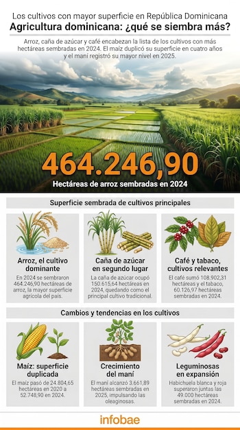 Vista aérea de vastos campos de arroz y caña de azúcar en la República Dominicana, con colinas al fondo y nubes. La cifra 464.246,90 se superpone.