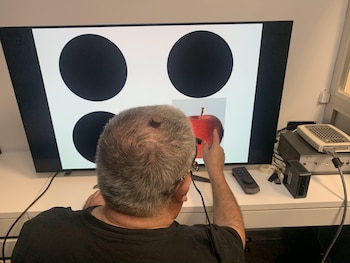 El sistema de microelectrodos implantado