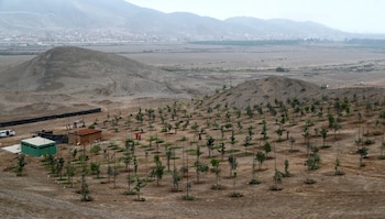 La extensión destinada a proyectos