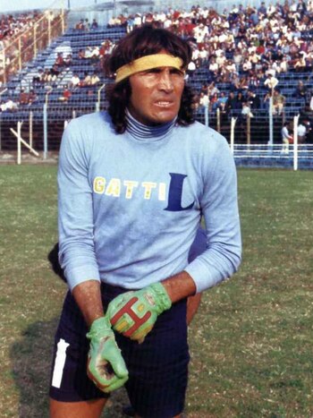 El pelo largo, la vincha,