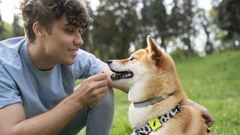 No hay imposición, hay afinidad.
