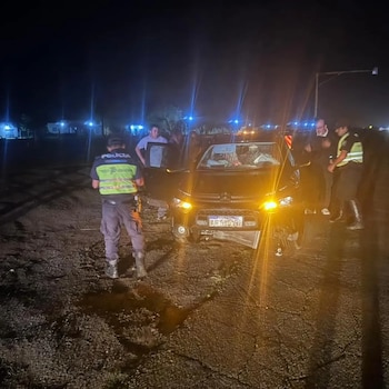 Un conductor de La Plata embistió un caballo en Ruta 11 en medio de un choque múltiple (Foto: 0221)