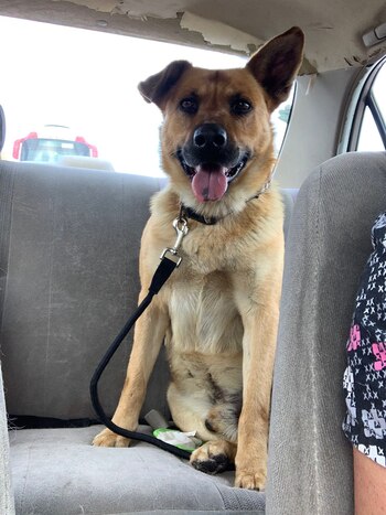 Fiscal está en una pensión