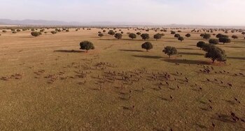 La Raña de Santiago, en