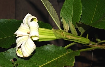 Imagen R7ZUFZAHAJEH5K66F4WDLBZWFA