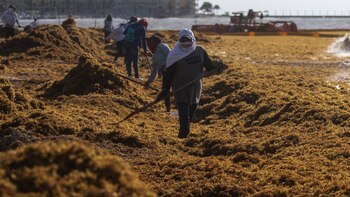 Su invento acaba de obtener