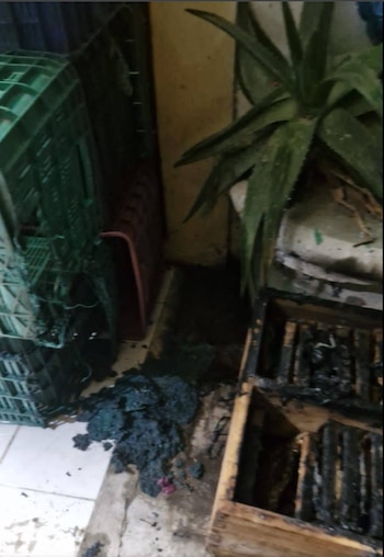 José Hernández Cruz agradeció el