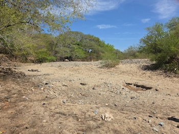 El PMA estima que al menos 500.000 personas más en Honduras podrían caer en inseguridad alimentaria por la falta de lluvias y el fenómeno de El Niño. (Oscar Ortiz)