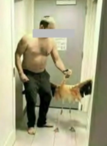 Un hombre sin camiseta y con el rostro cubierto sujeta por el cuello a un flamenco con las alas desplegadas en un pasillo frente a una puerta