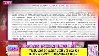 Fuenzalida presentó una denuncia por presuntos delitos contra la libertad sexual y acoso sexual, según el documento difundido. Willax TV.