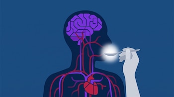 Silueta de un torso con un cerebro morado, un corazón rojo y vasos sanguíneos, mientras una mano acerca una cuchara luminosa a la boca.