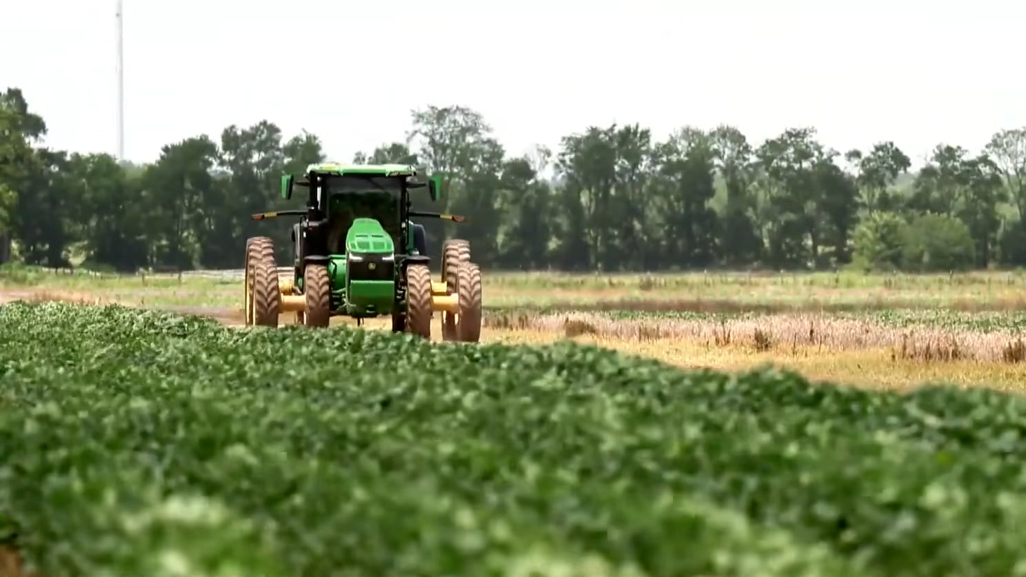 La guerra con Irán ahoga al campo de Luisiana y empuja a los agricultores al límite