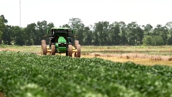 La guerra con Irán dispara los costos y deja a los agricultores de Luisiana al borde del colapso