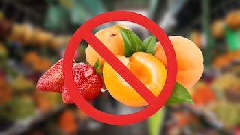 Las observaciones se efectuaron en