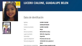 San Luis: analizan una cámara