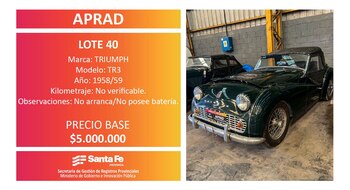 Entre los bienes que van