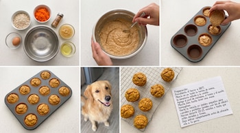 Seis imágenes: ingredientes (avena, zanahoria), masa, pastelitos en molde y en rejilla, un perro Golden Retriever y una tarjeta con receta escrita.