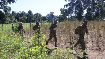 Bolivia declara a una de