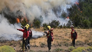 Incendios en Chubut: la Justicia