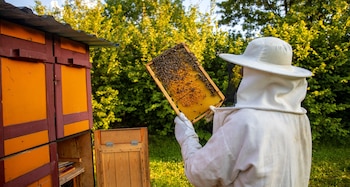 Día Mundial de las Abejas – Anton Janša – Eslovenia - Perú – noticias – 14 mayo