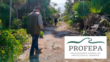 Profepa y Conanp realizan primer operativo nacional en Áreas Naturales Protegidas