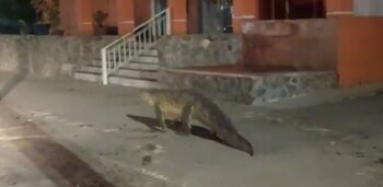 Usuarios en redes sociales grabaron