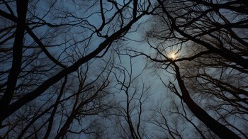 La luna muestra una parte